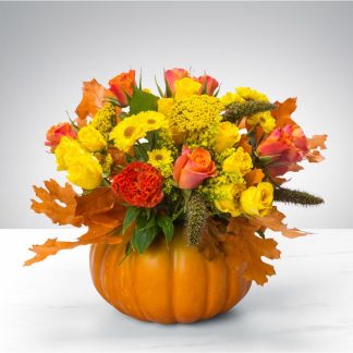 Pumpkin Power - FAL9655