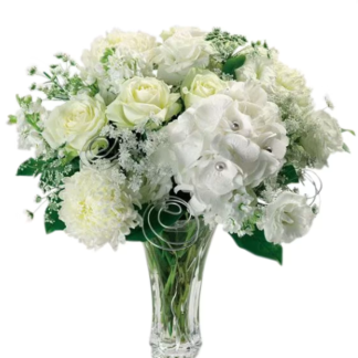 Silver Anniversary ALL9012