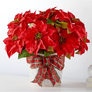 Poinsettia w/ Basket and Bow XM2055