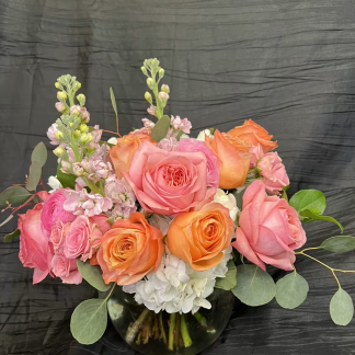 Bowl and Beauty SPR9858