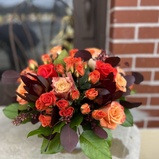 Burgandy Surprise - FALL3229