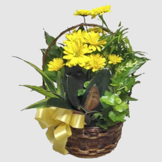 Daisies in the Garden CH1088