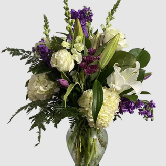 Living on Cloud ALL9986