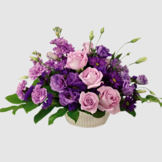 Petite Love - ALL1611