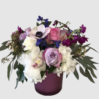 Radiate Beauty ALL5222