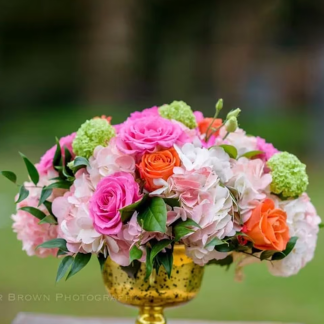 Spring Selects SPR5663