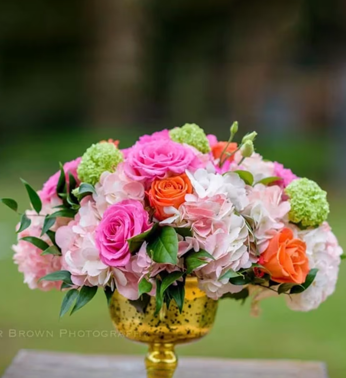 Spring Selects SPR5663