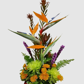 Towering Birds - ALL6798