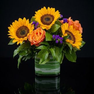 Sunflower Surprise